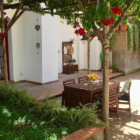 Secret Garden